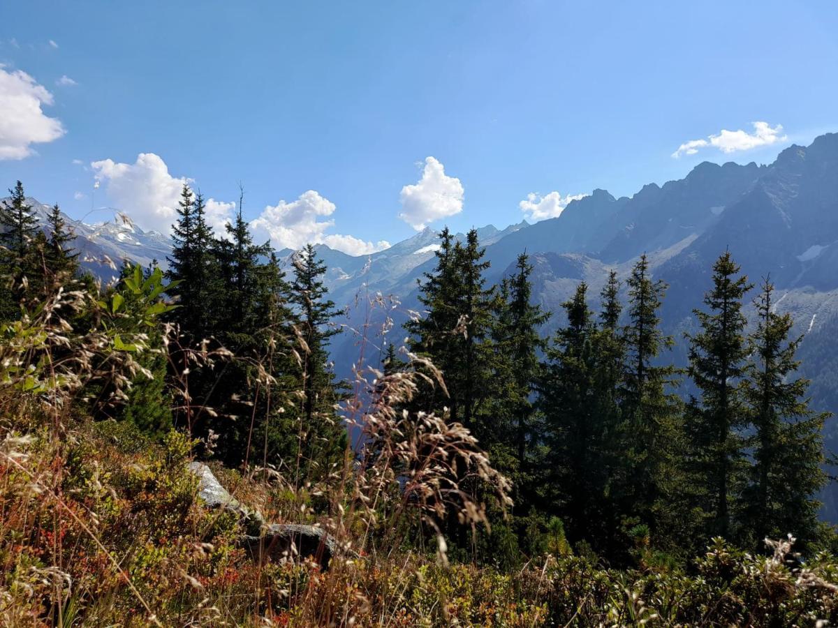 Apart Lisa Mayrhofen Zewnętrze zdjęcie